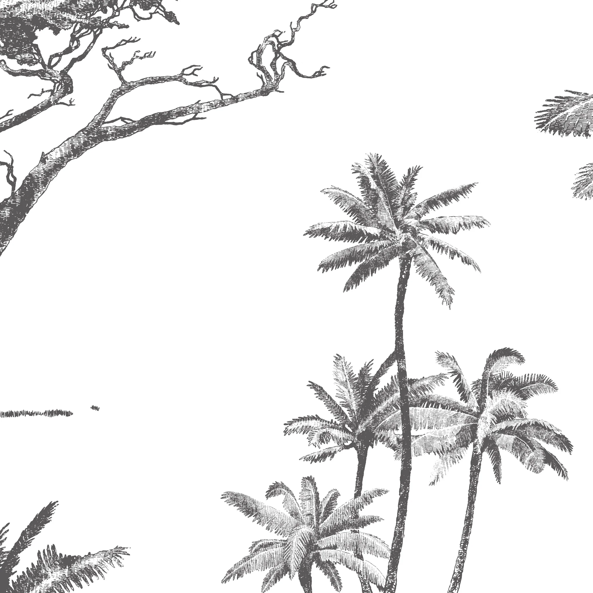 Acacia Wallpaper - Image 6