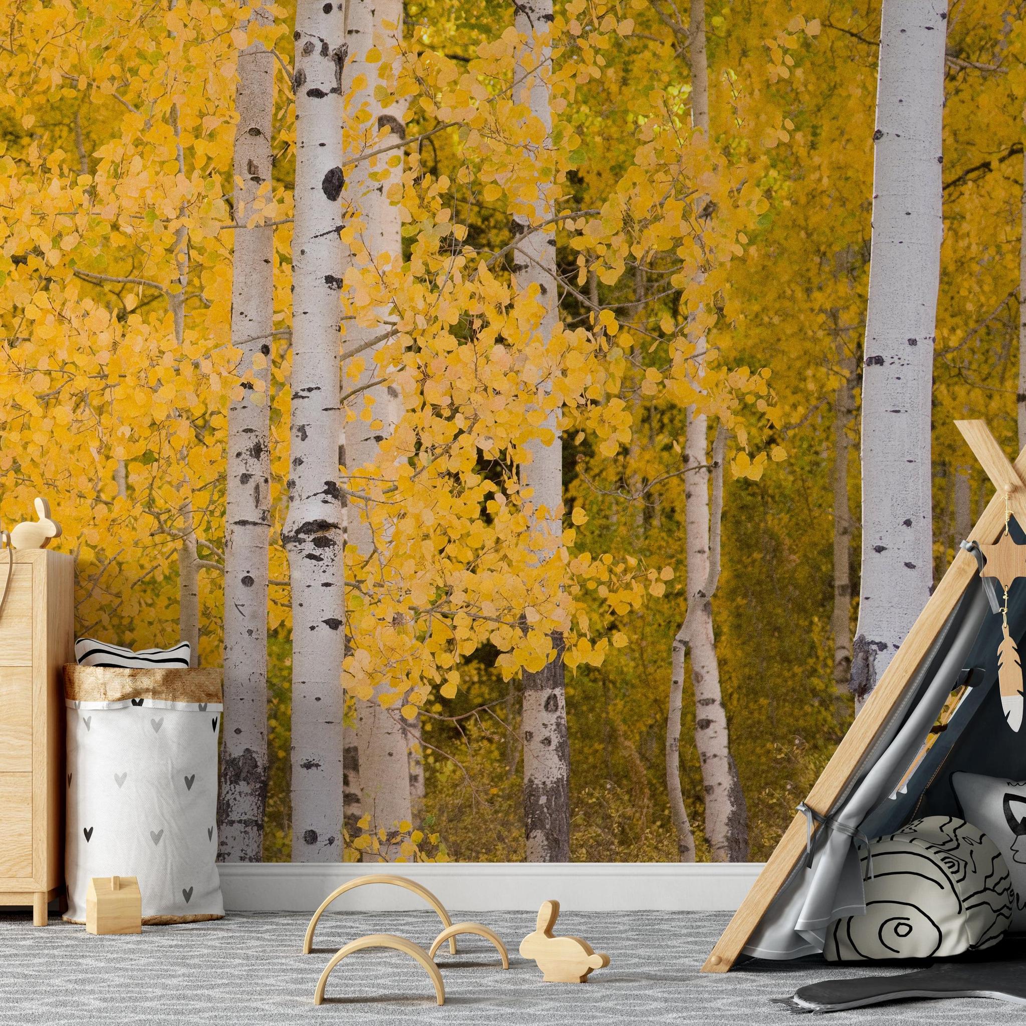 Aspen Wallpaper - Image 4