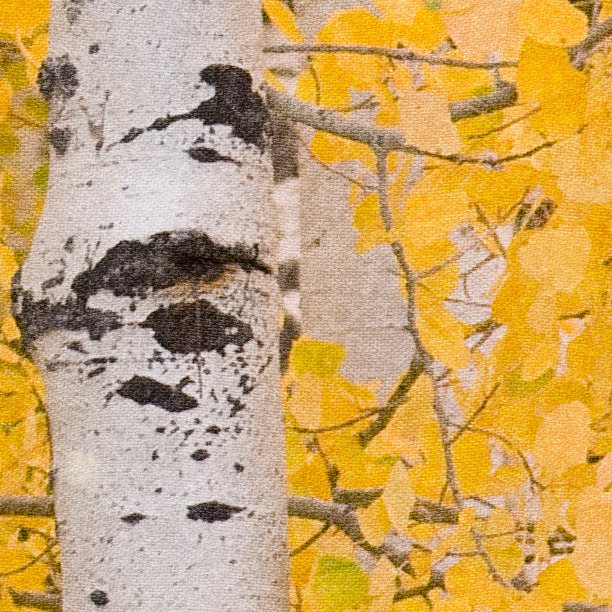 Aspen Wallpaper - Image 6