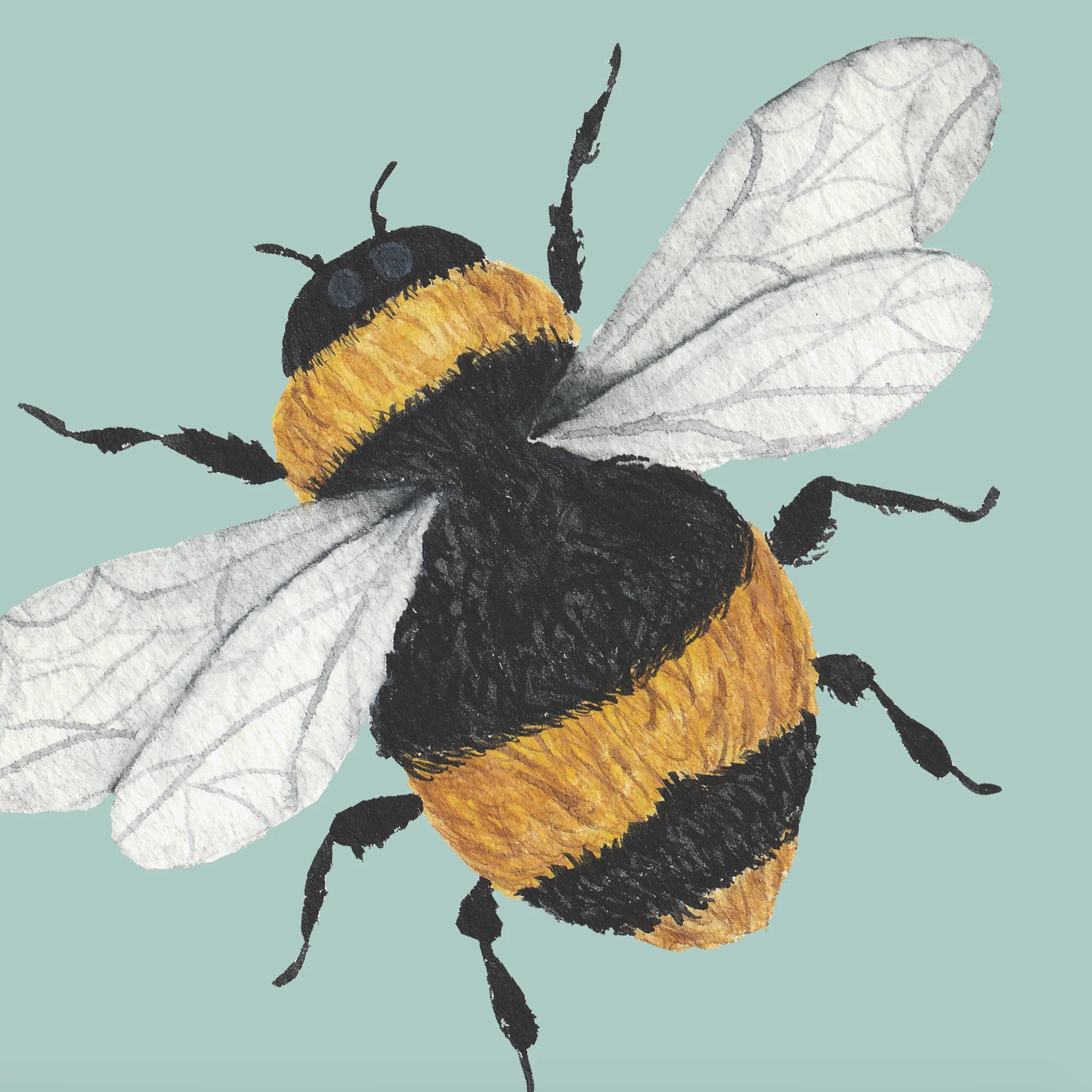 Bumble (Blue) Wallpaper - Image 6