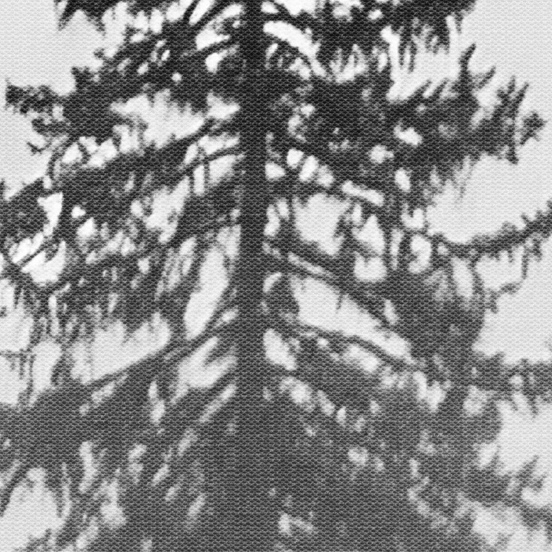 Black Pine Wallpaper - Image 7