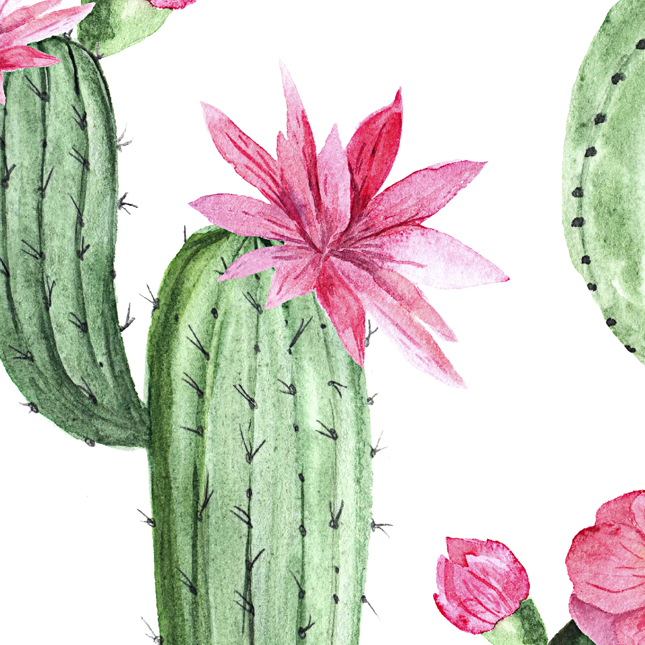 Prickly Princess Wallpaper - Image 5