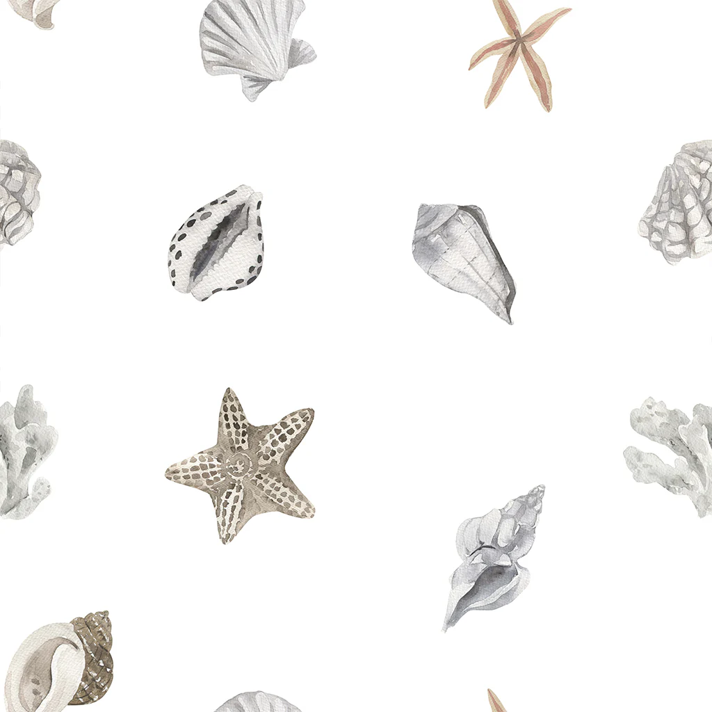 Nautilus Wallpaper - Image 5