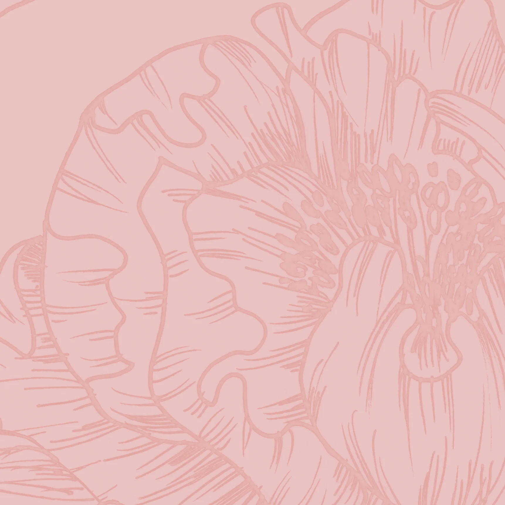 The Dutchess (Pink) Wallpaper - Image 7