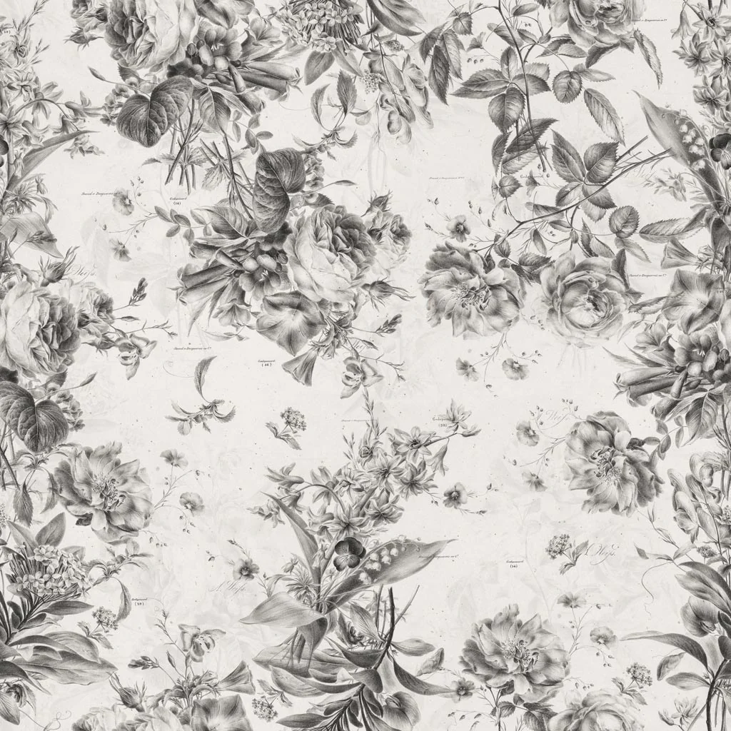 Daphne Wallpaper - Image 5