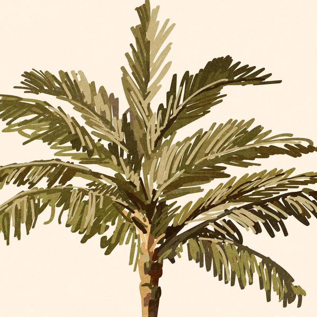 Bay of Palms - Image 6
