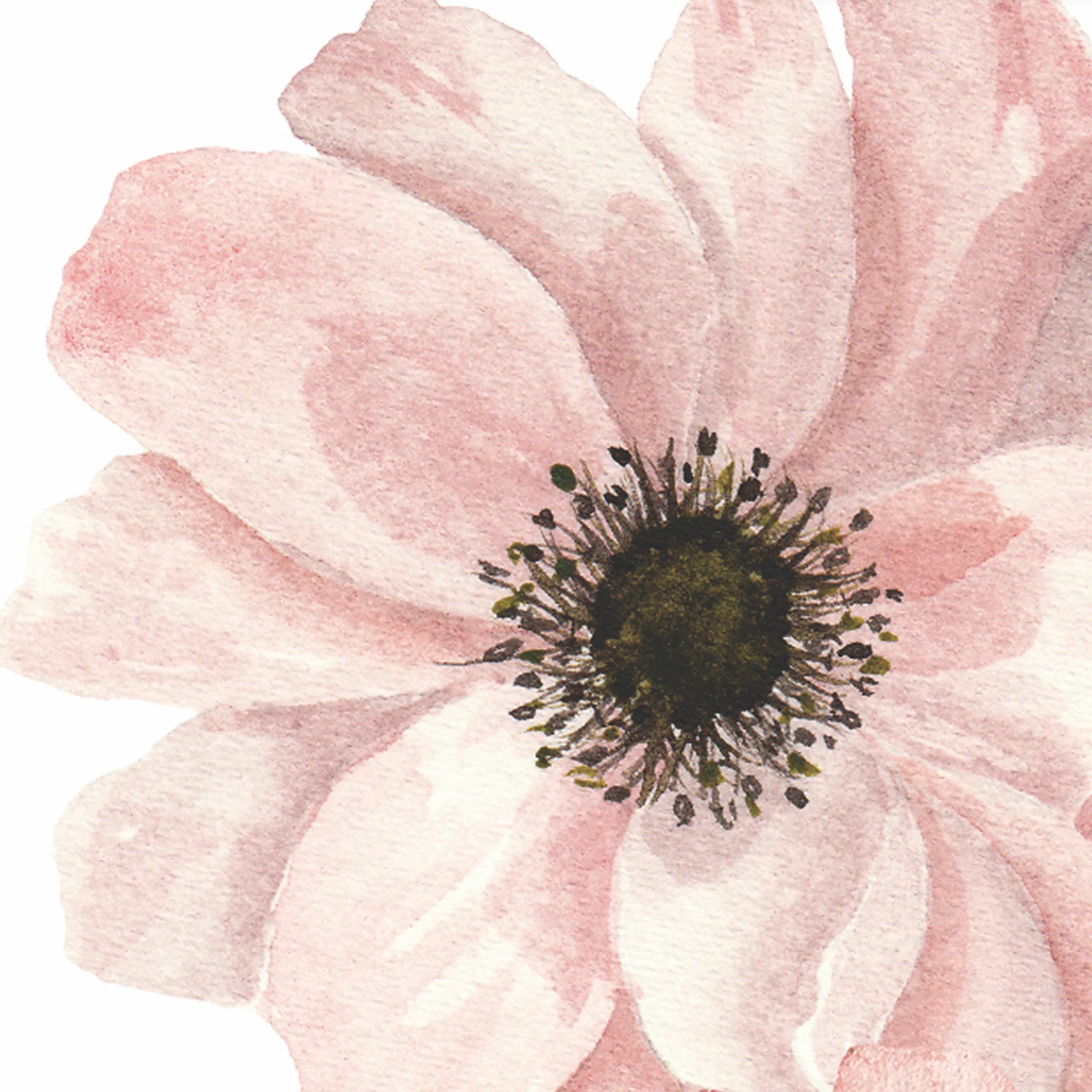 Dragonlily (White) Wallpaper - Image 5