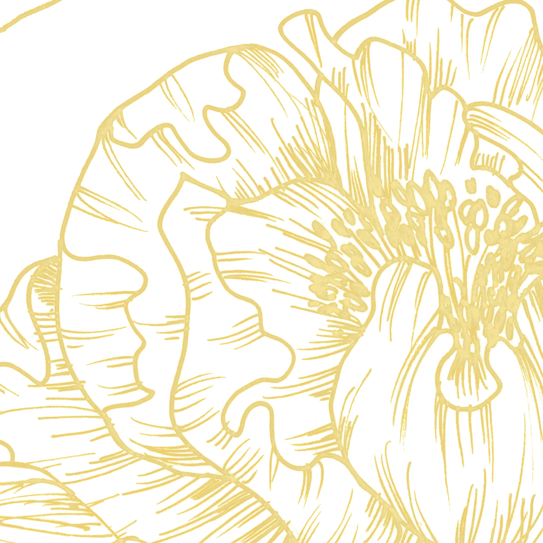 The Dutchess (Mustard) Wallpaper - Image 6