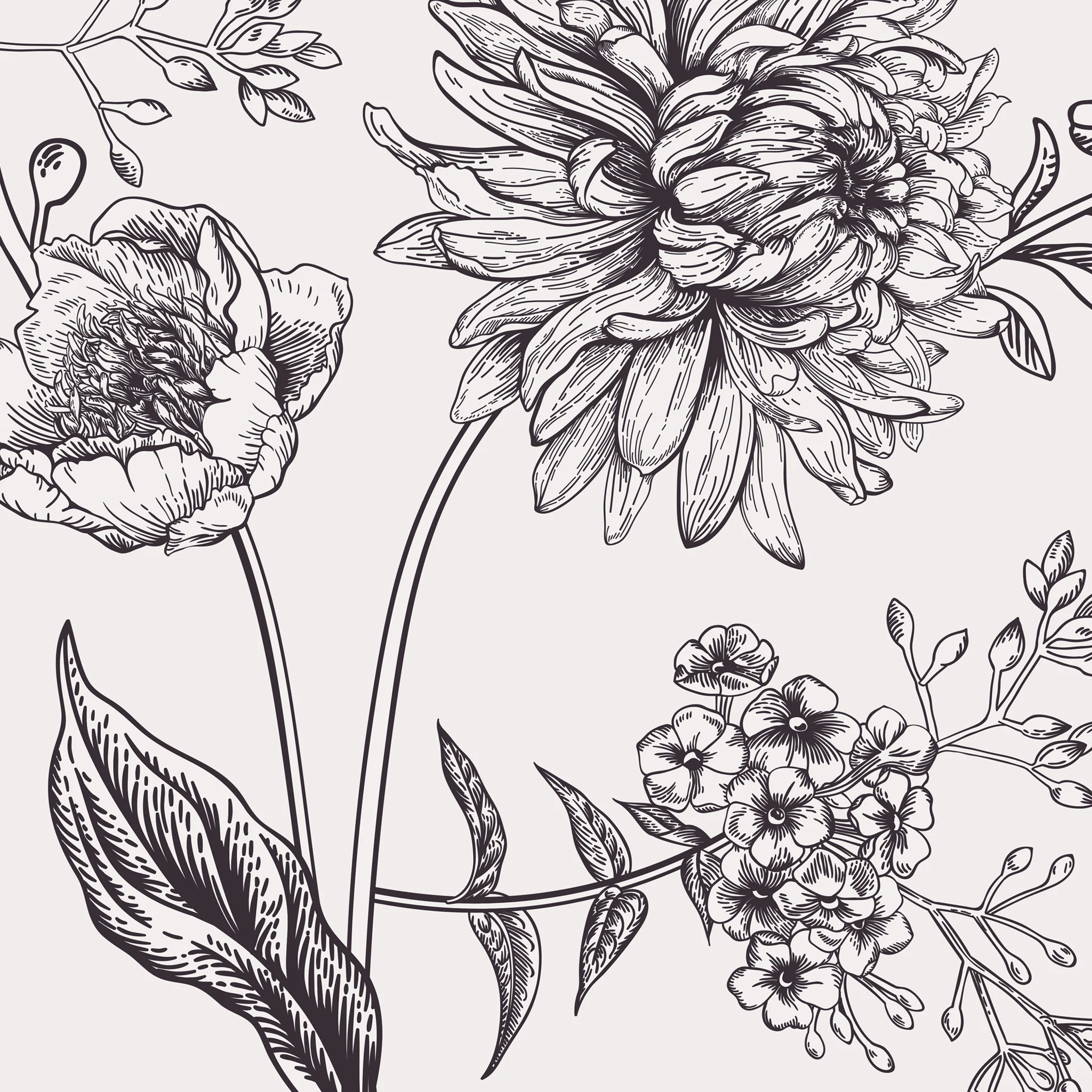 Eloise Wallpaper - Image 5