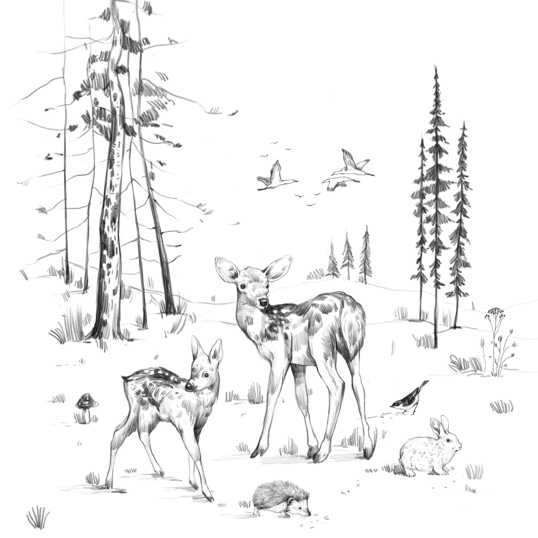 Faline Wallpaper - Image 6
