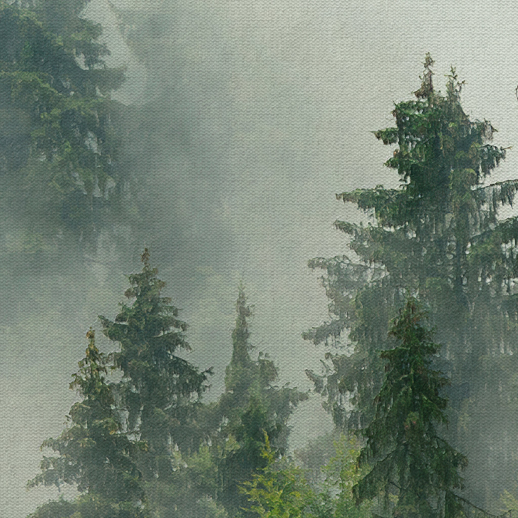 Pinetop Wallpaper - Image 7
