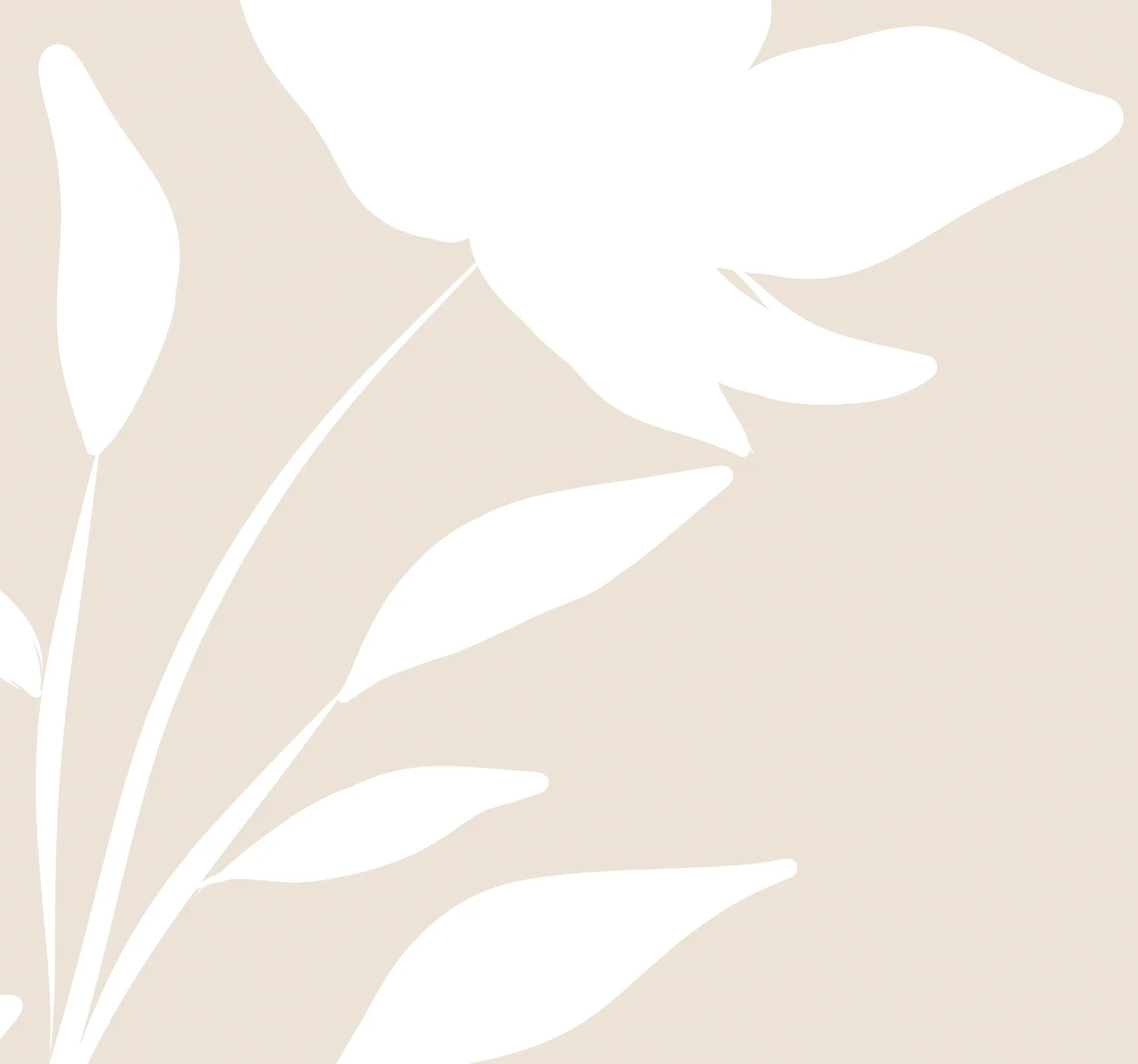 Grace Wallpaper - Image 5