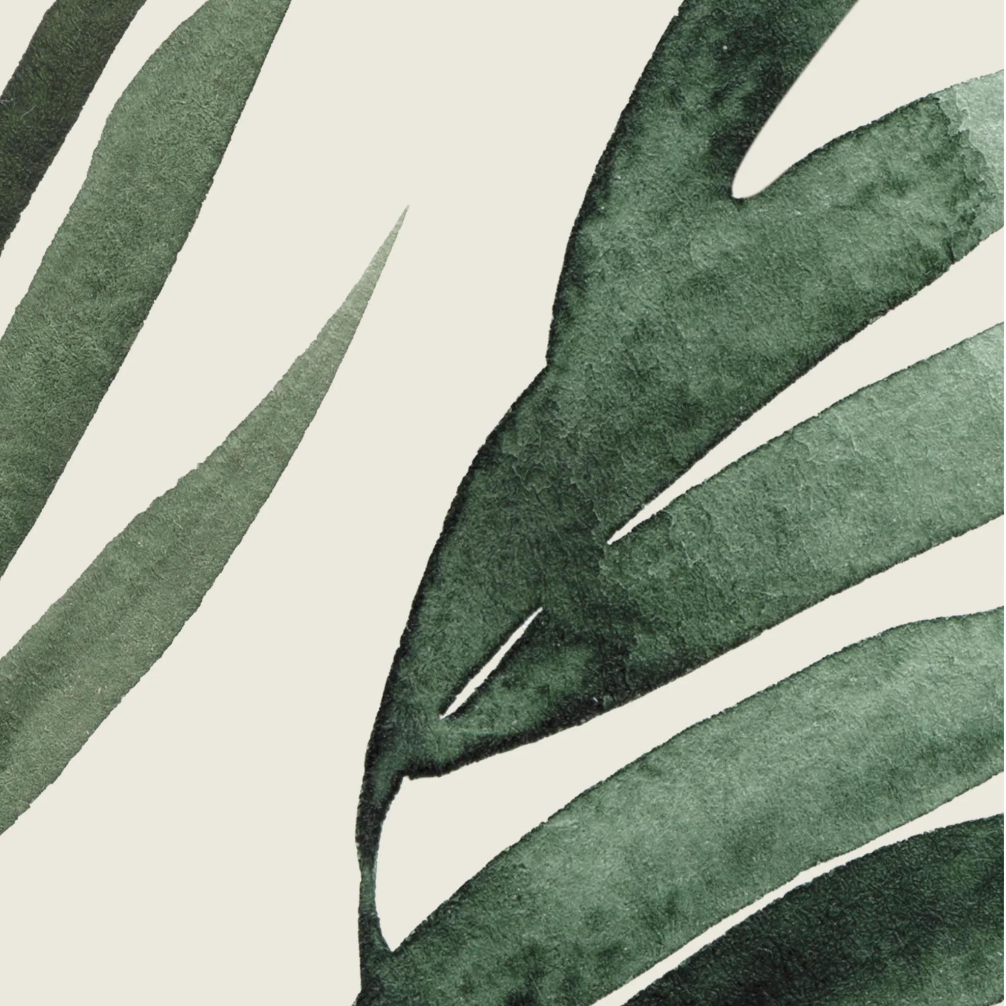 Havana Wallpaper - Image 6