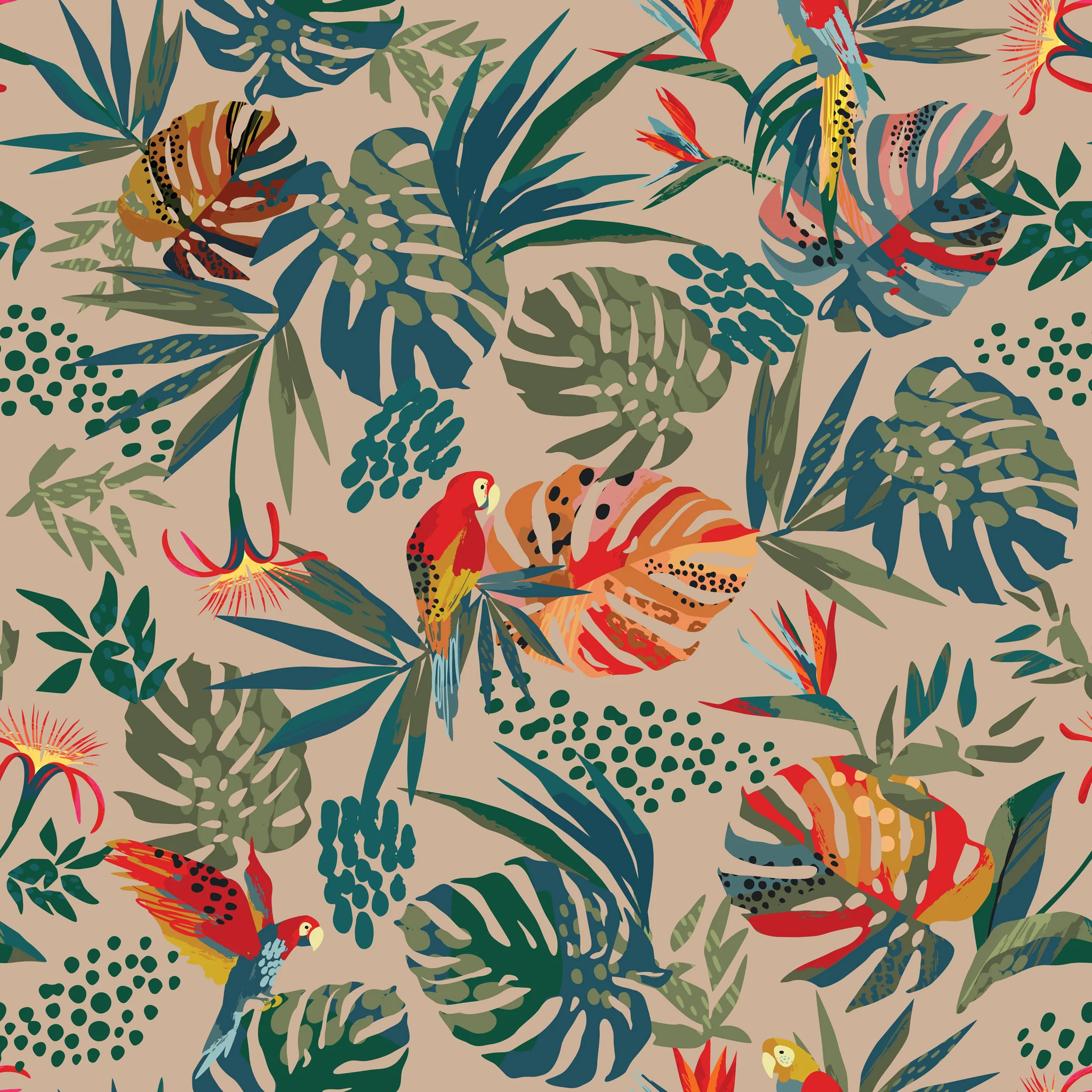 Macaw Wallpaper - Image 4