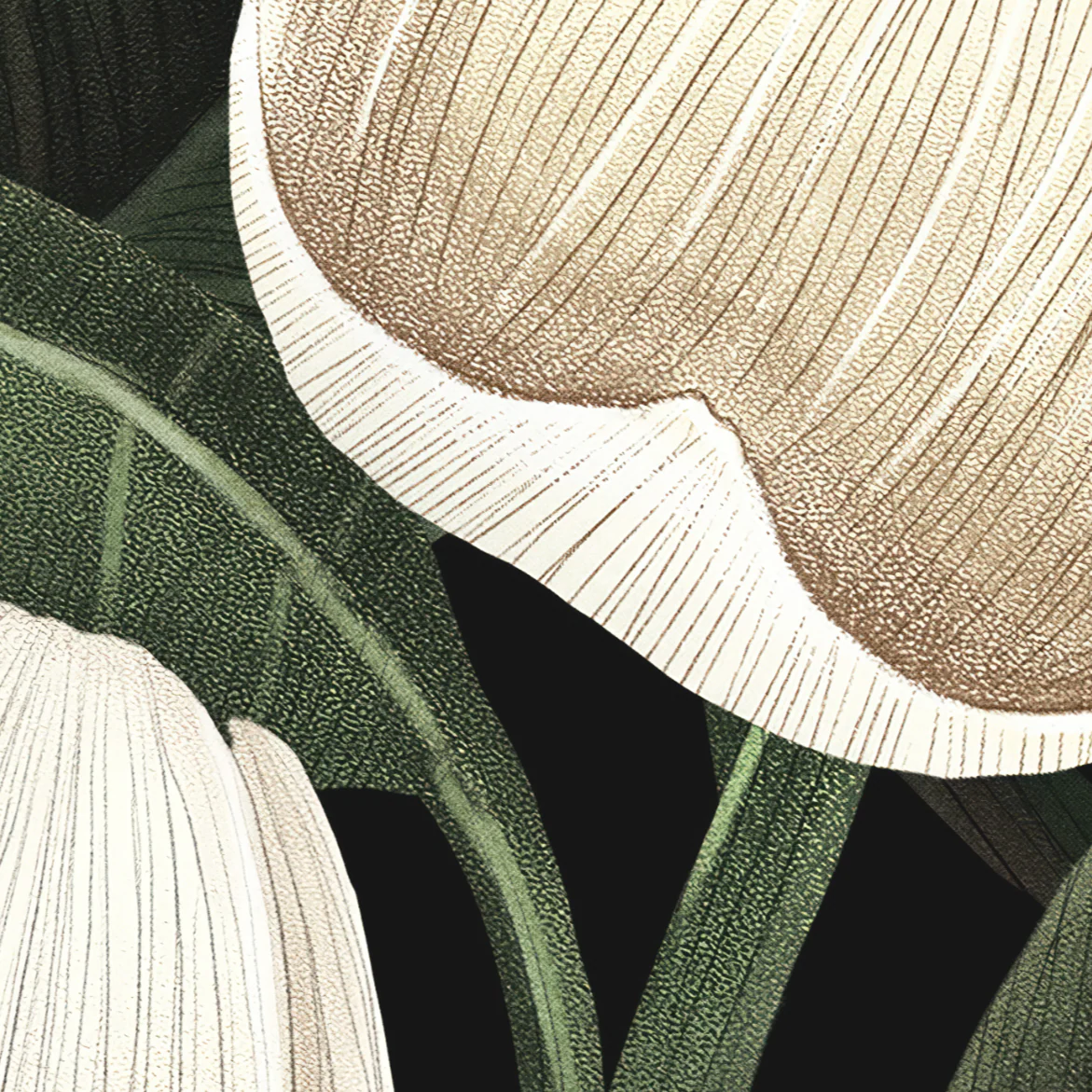 Magnolia Wallpaper - Image 6
