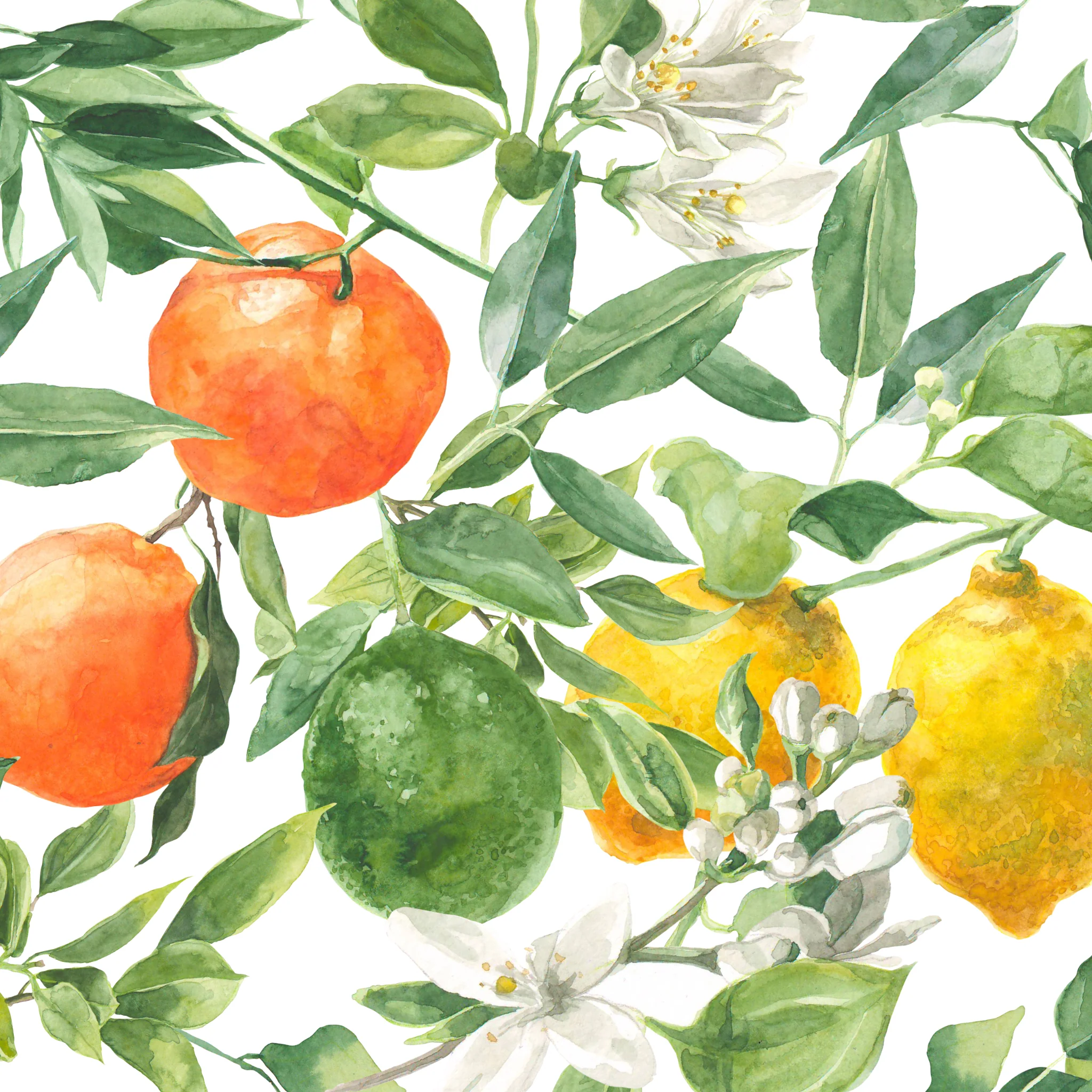 Mediterranean Wallpaper - Image 5