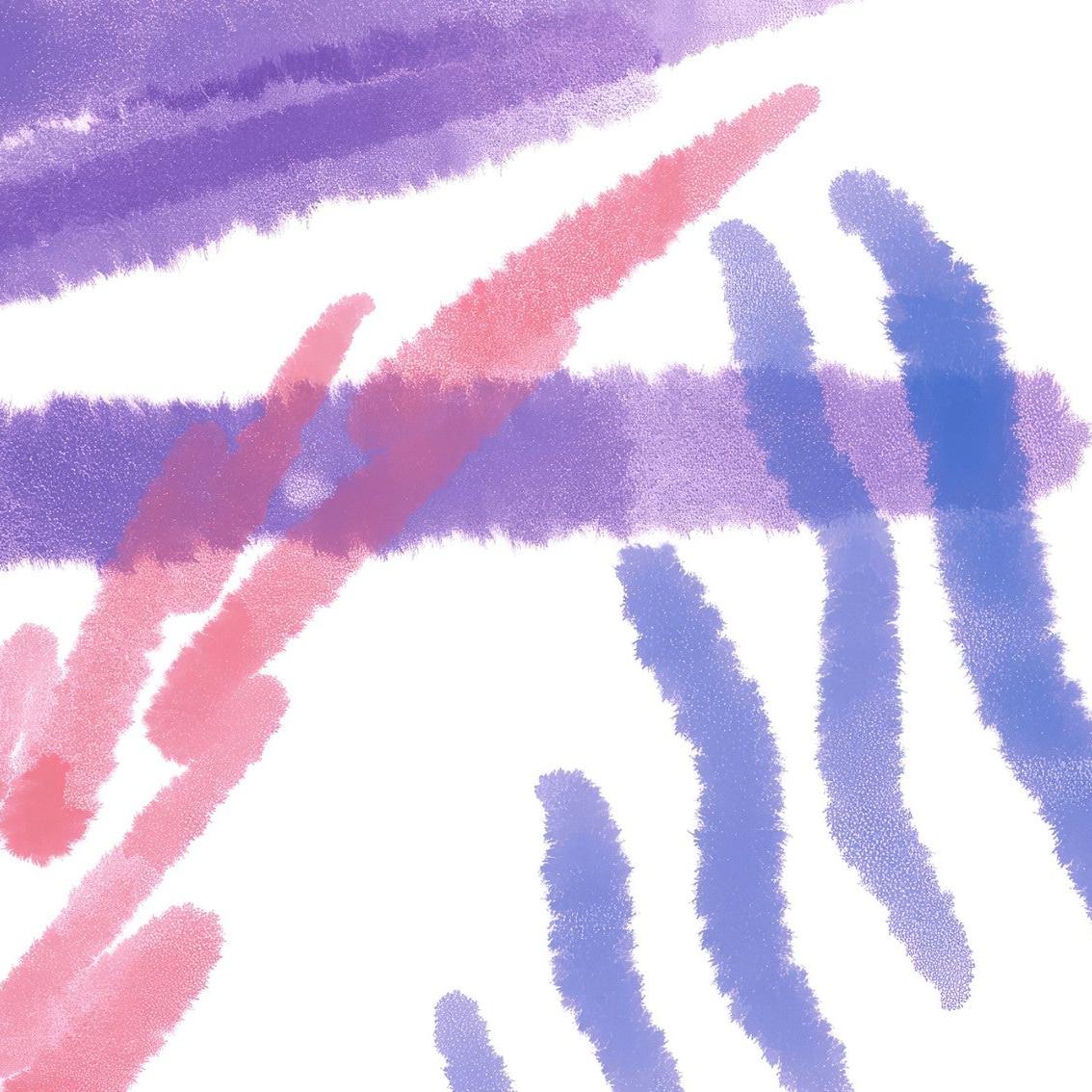 Nim Wallpaper - Image 6