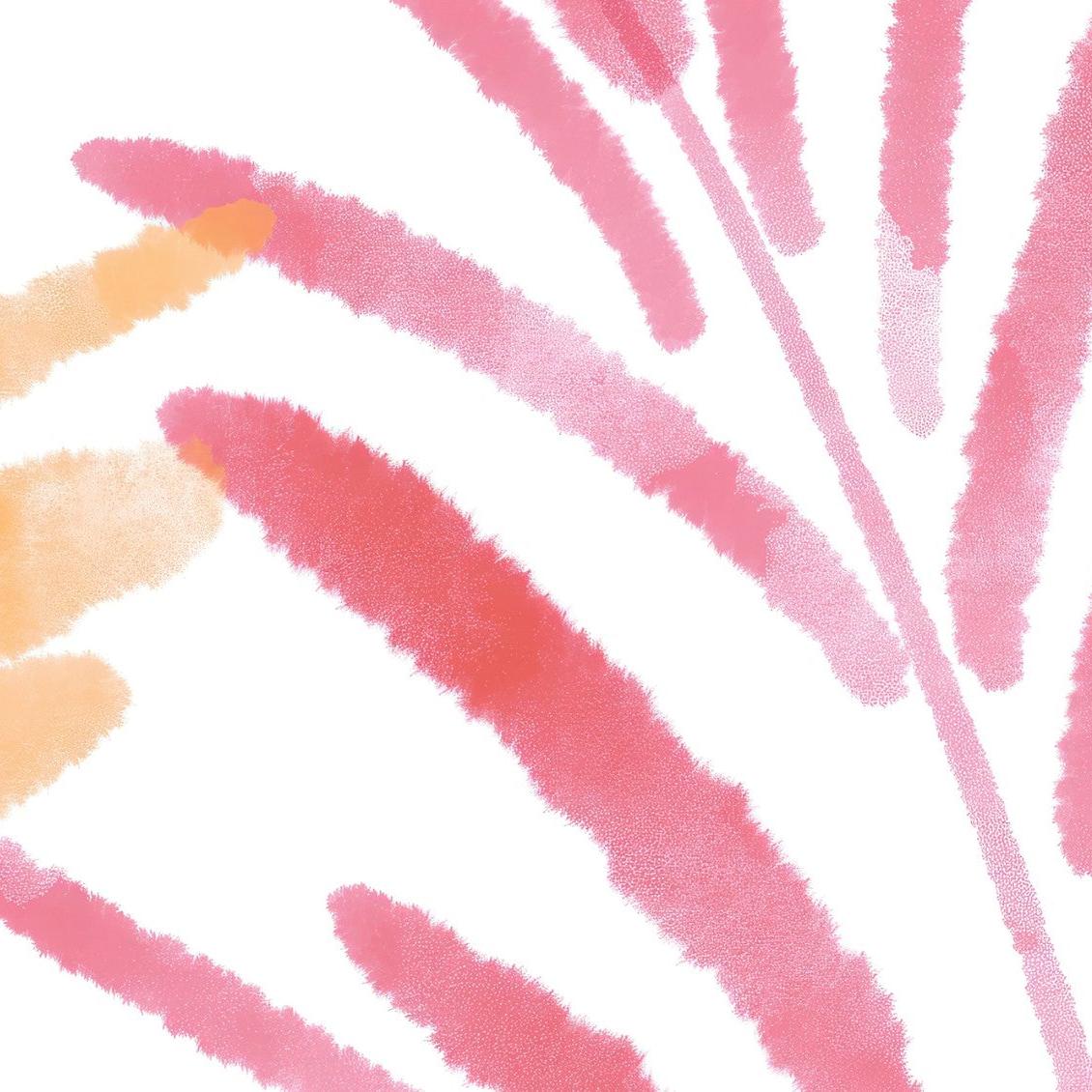 Nim Wallpaper - Image 7