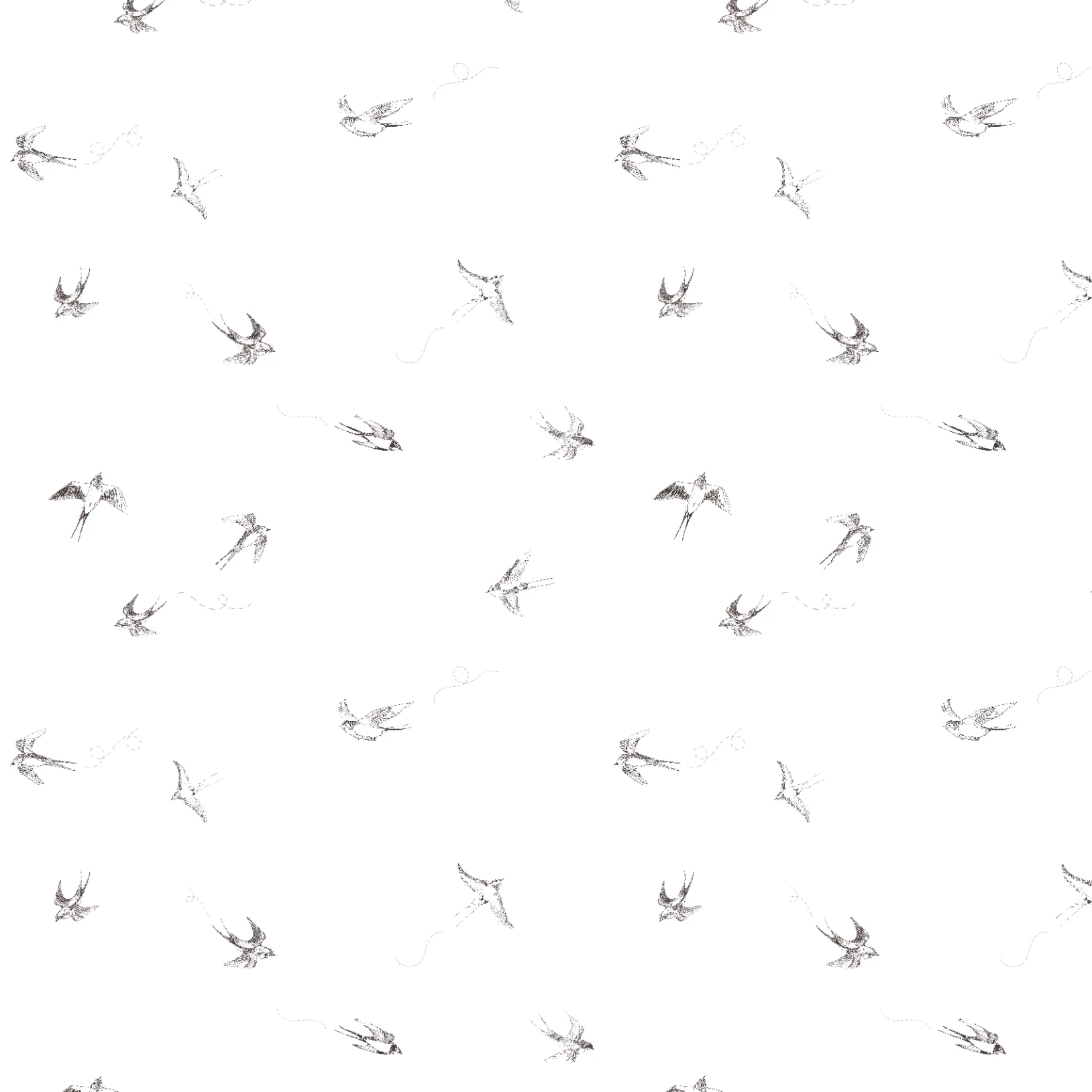 Of a Feather (White) Wallpaper - Image 4