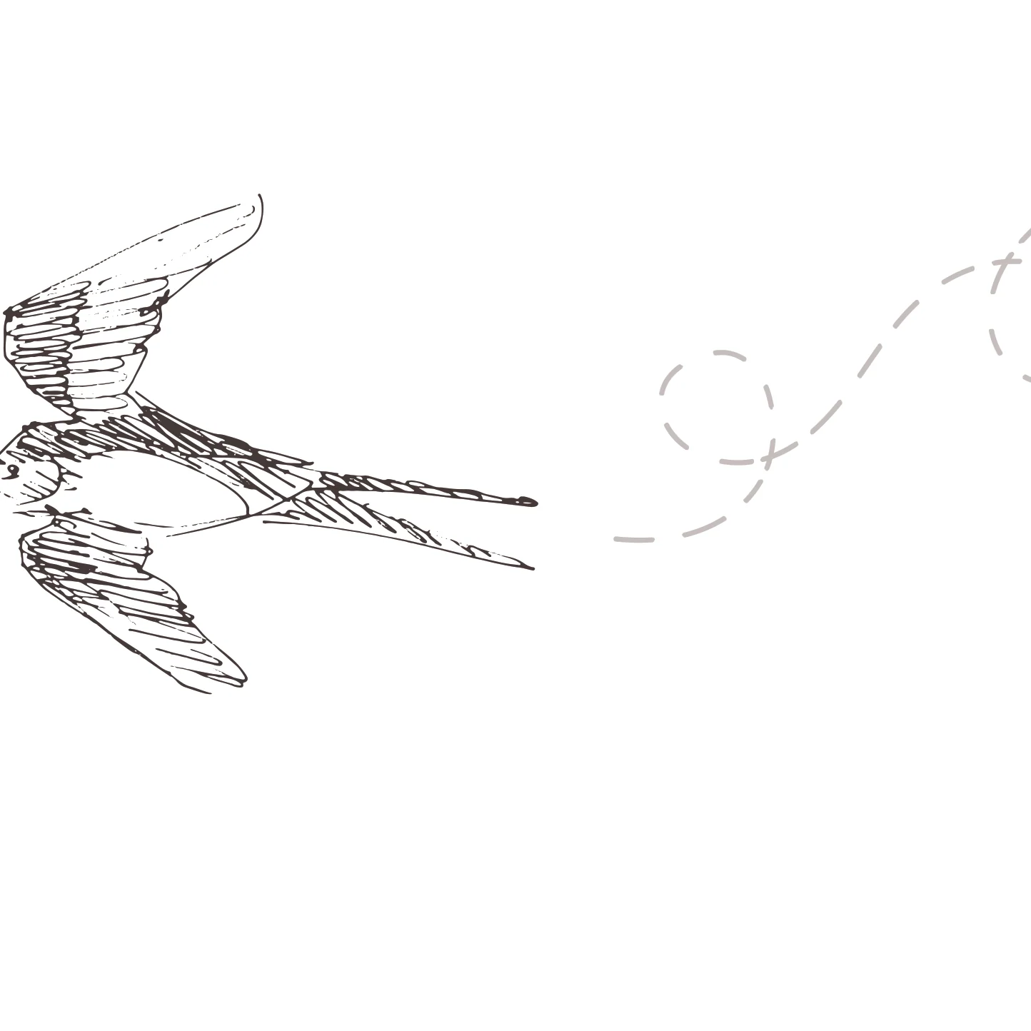 Of a Feather (White) Wallpaper - Image 5