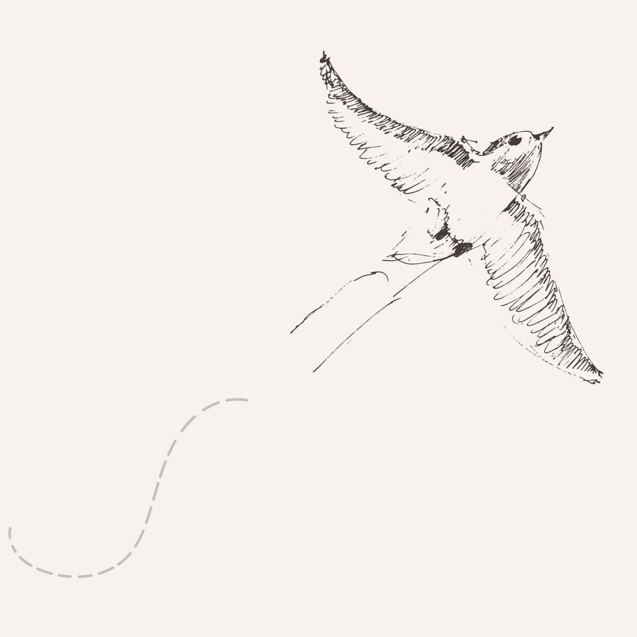 Of a Feather (Eggshell) Wallpaper - Image 5