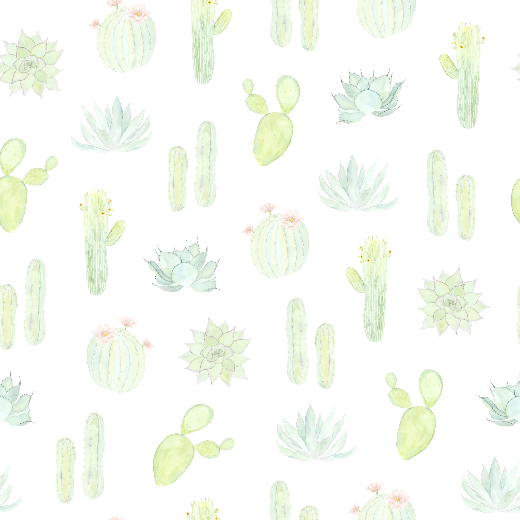 Petals and Prickles (Small) Wallpaper - Image 2
