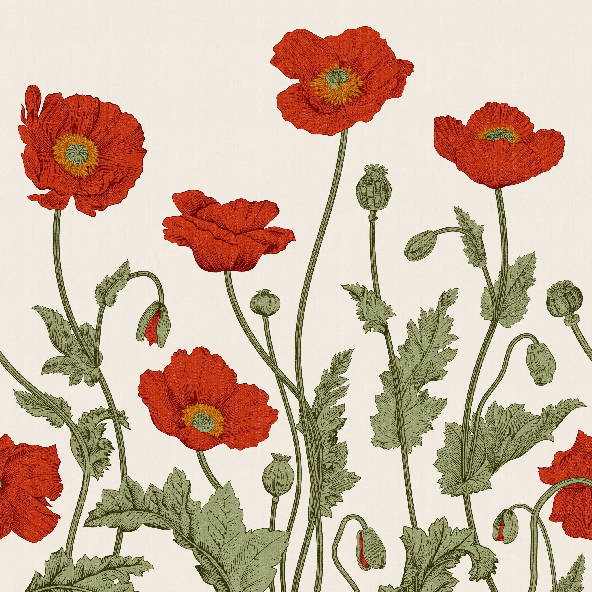 Poppy Lane Wallpaper - Image 2