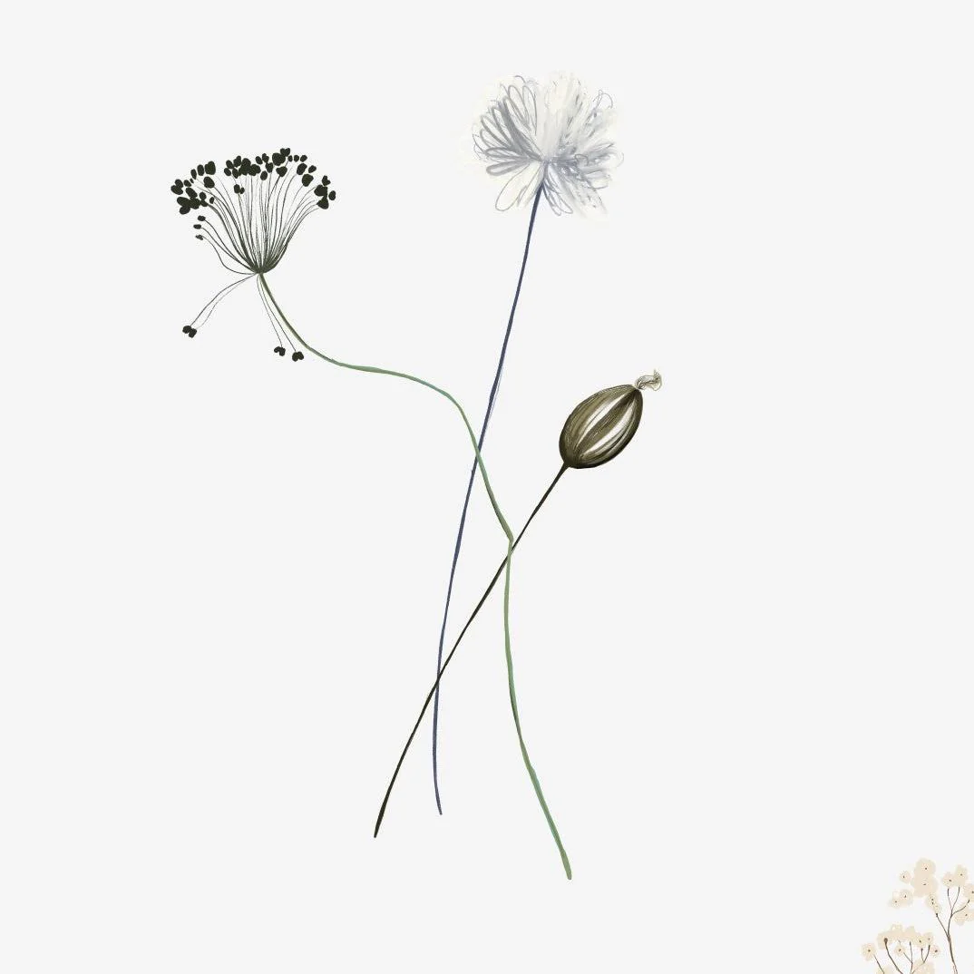 Prairie Wallpaper - Image 6