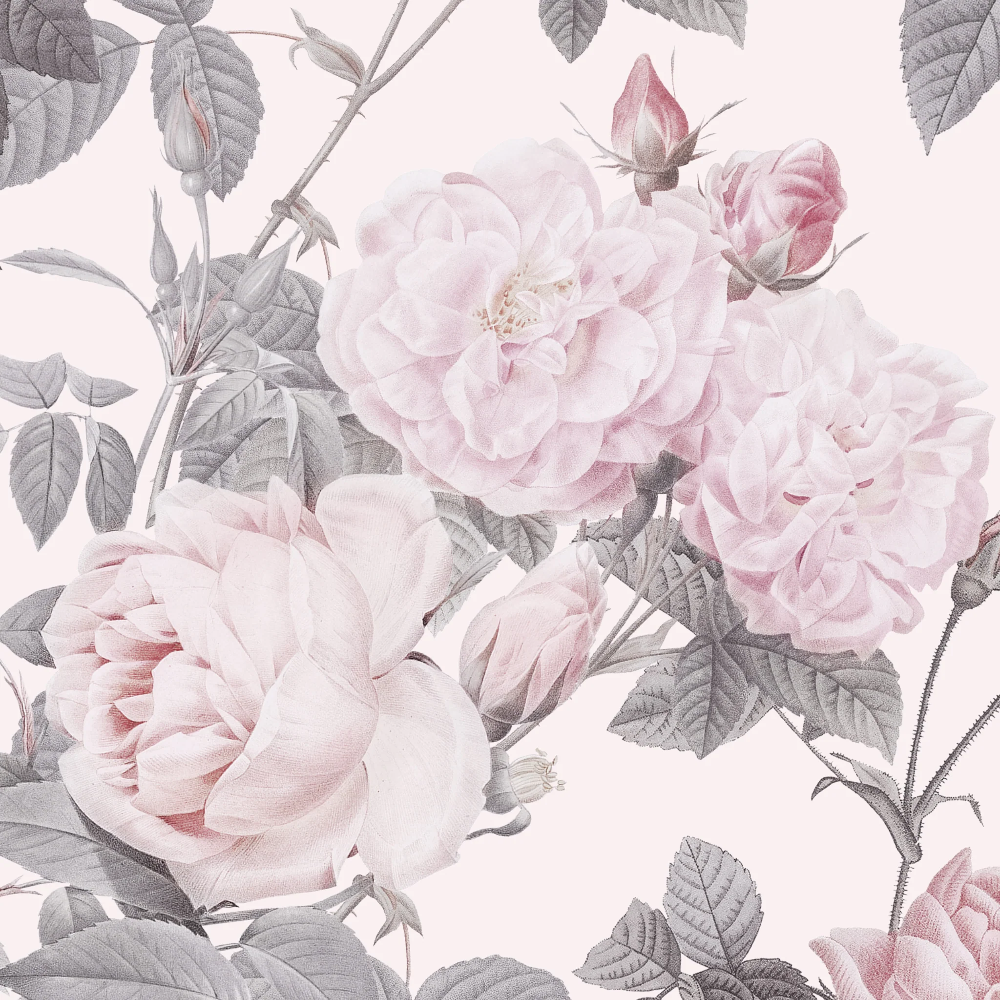 Secret Garden (Pink) Wallpaper - Image 6