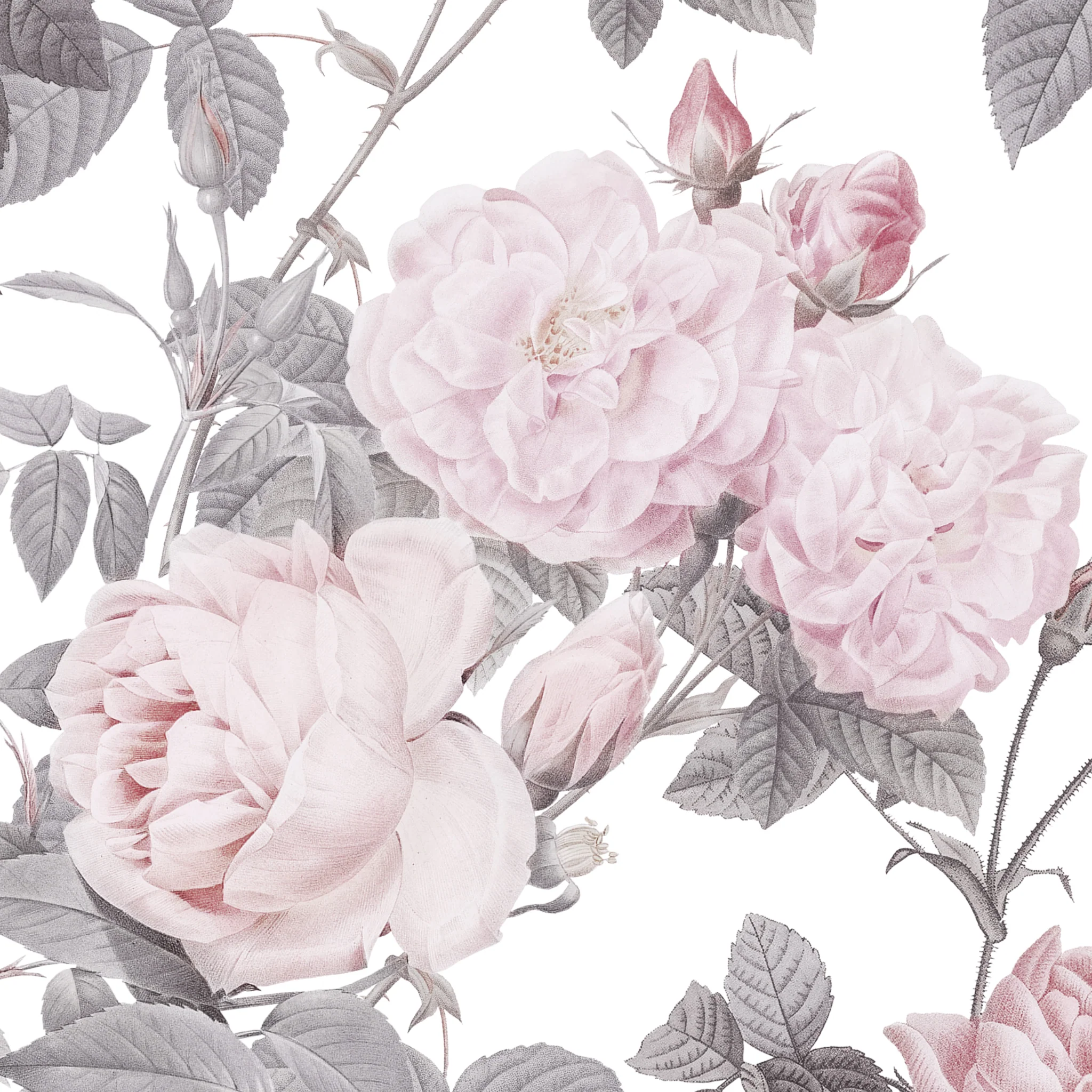 Secret Garden (White) Wallpaper - Image 6