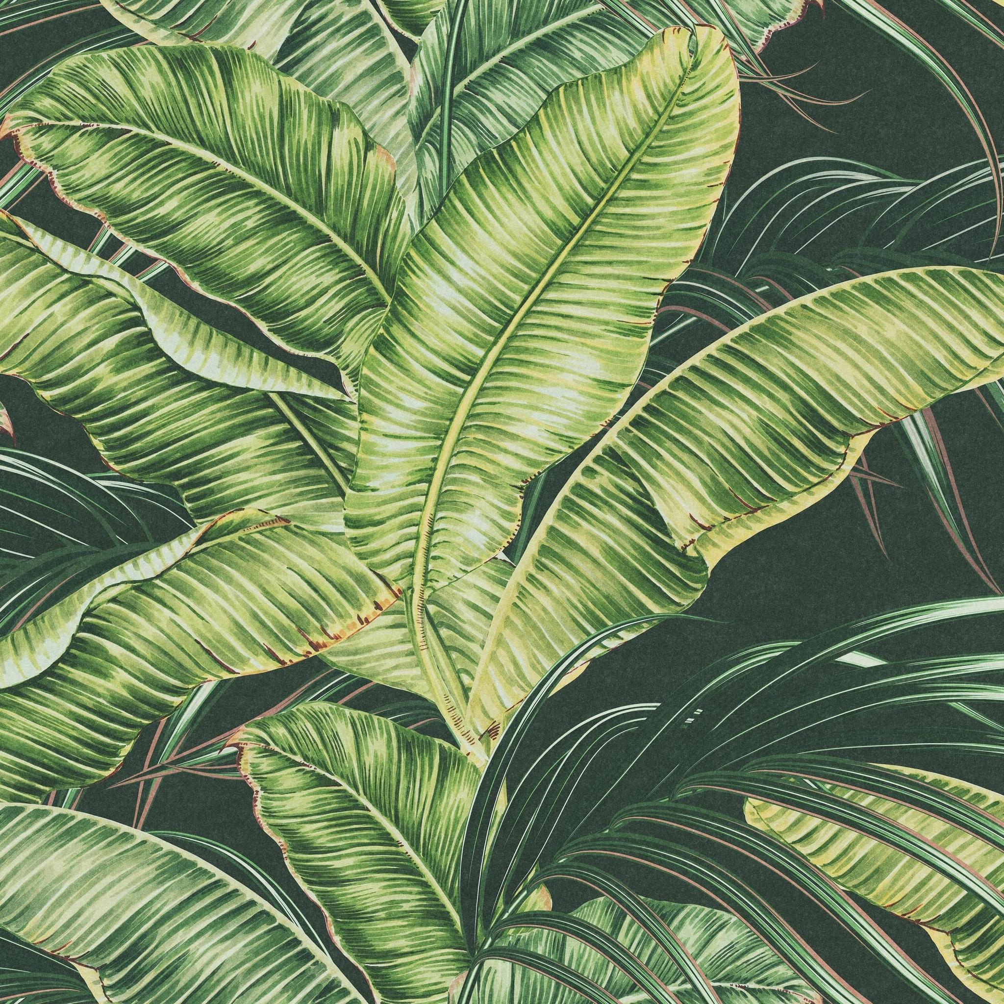 Sterlitzia Wallpaper - Image 5