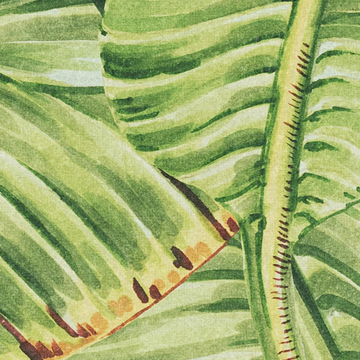 Sterlitzia Wallpaper - Image 7