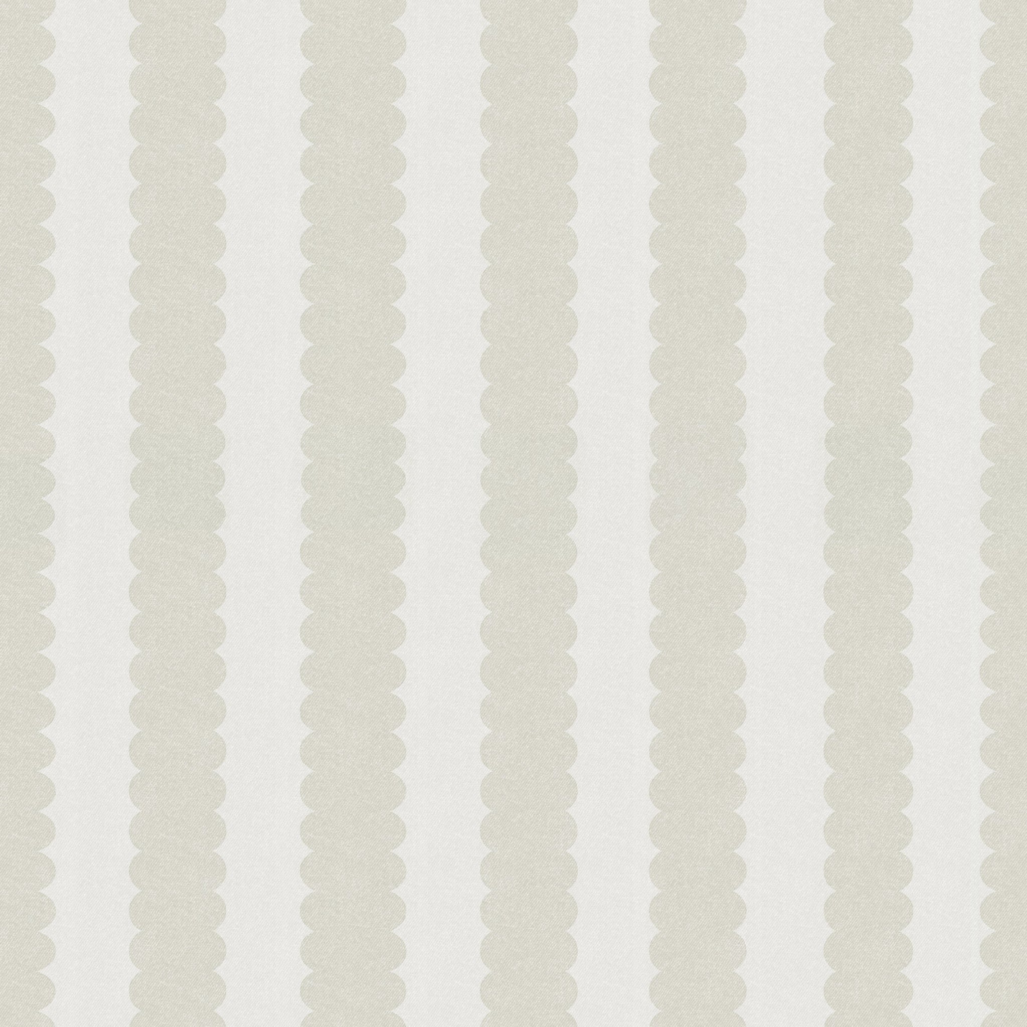 Teddy Scallop (Medium) Wallpaper - Image 2