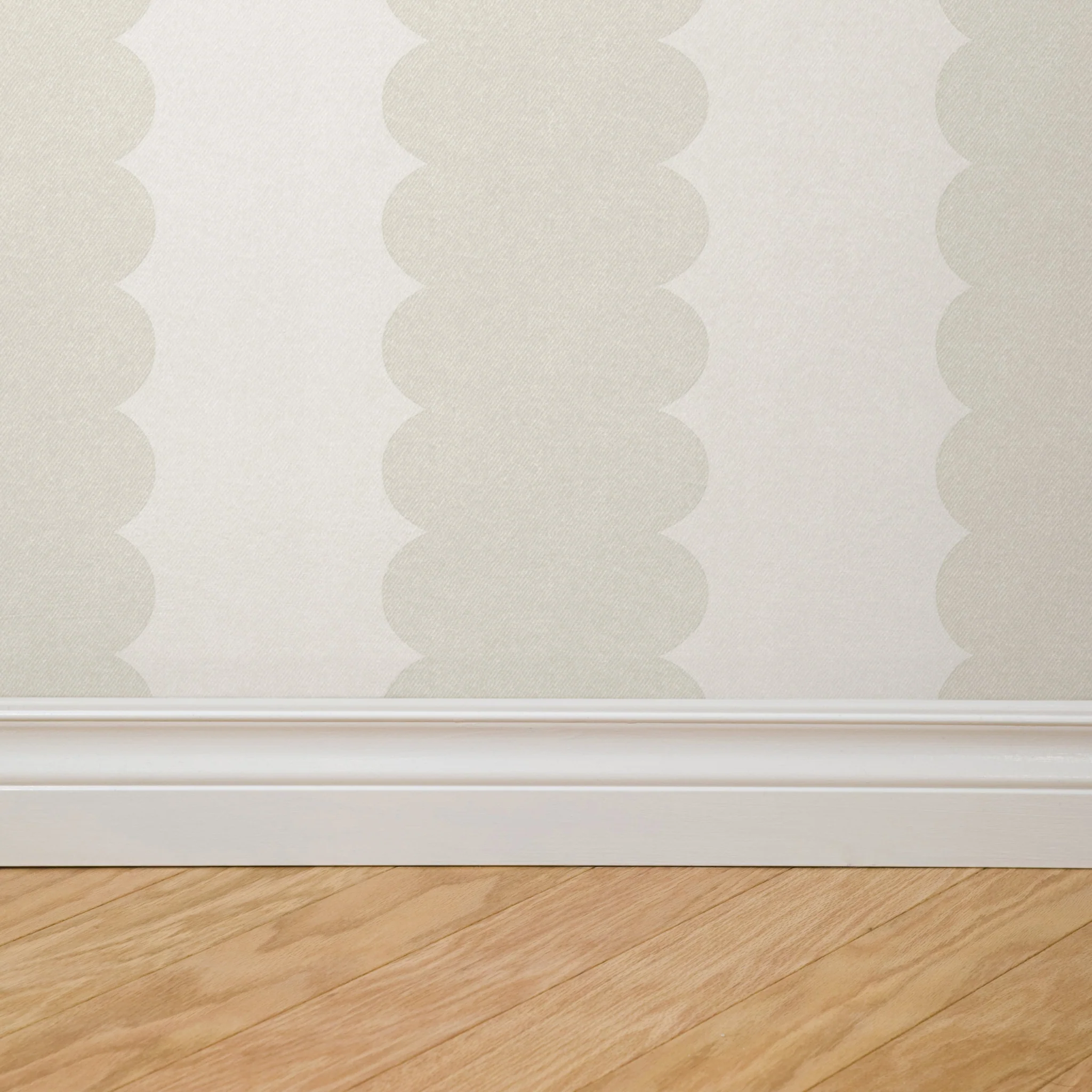 Teddy Scallop (Medium) Wallpaper - Image 4