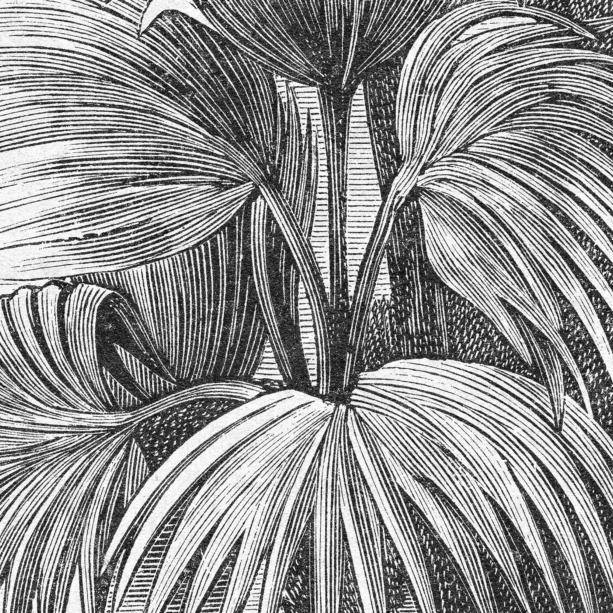 The Congo Wallpaper - Image 5