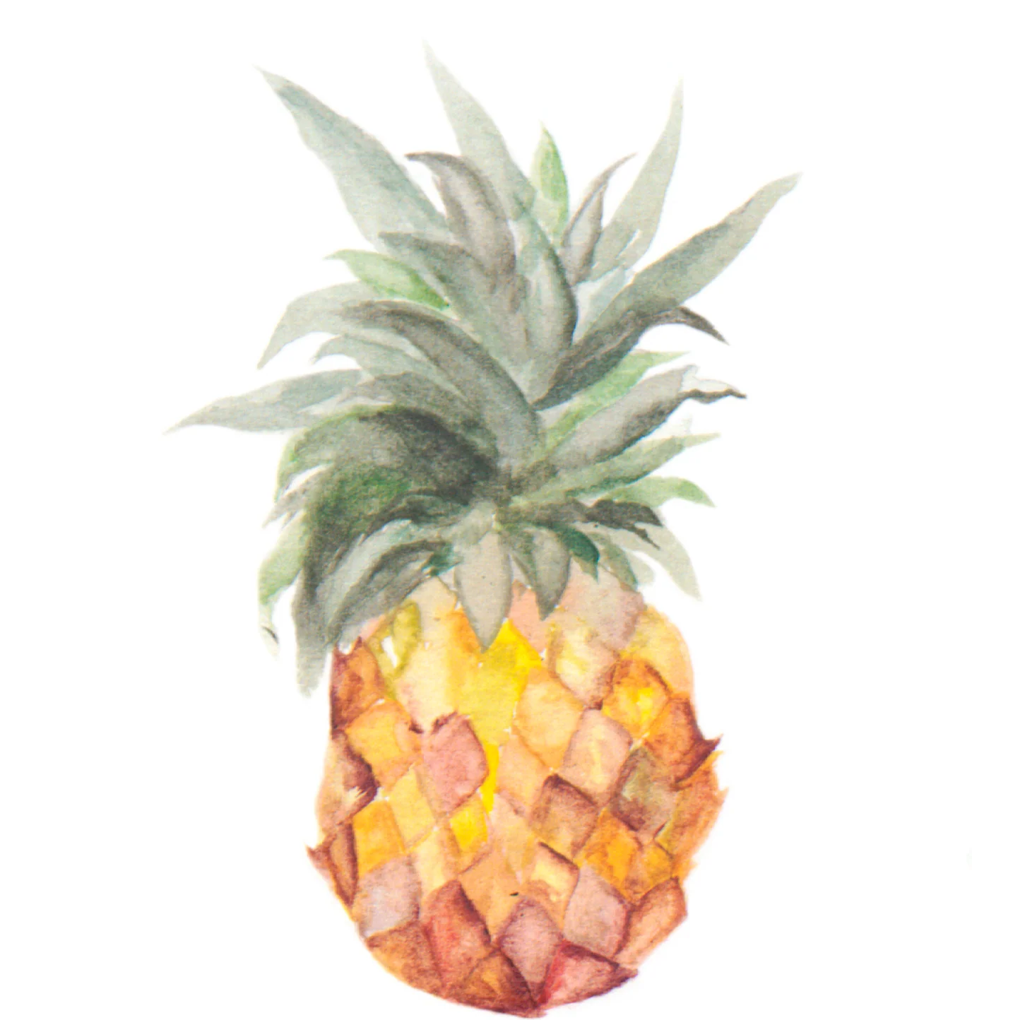 Tropic Like It's Hot Wallpaper - Image 6