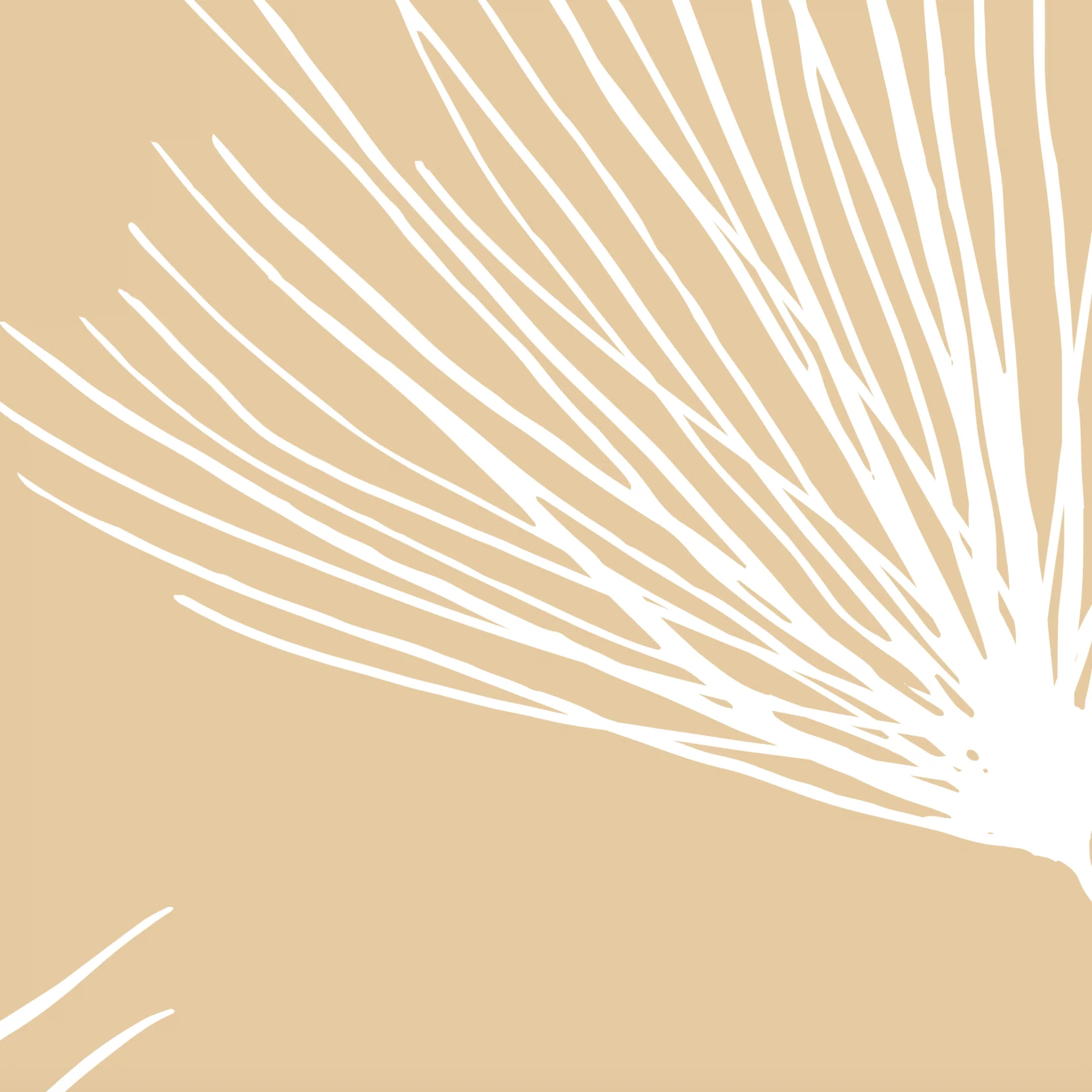 Wish Wallpaper - Image 5